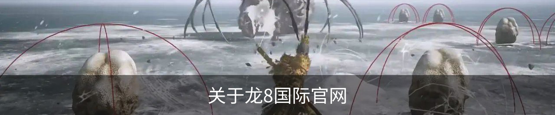 关于龙8国际官网